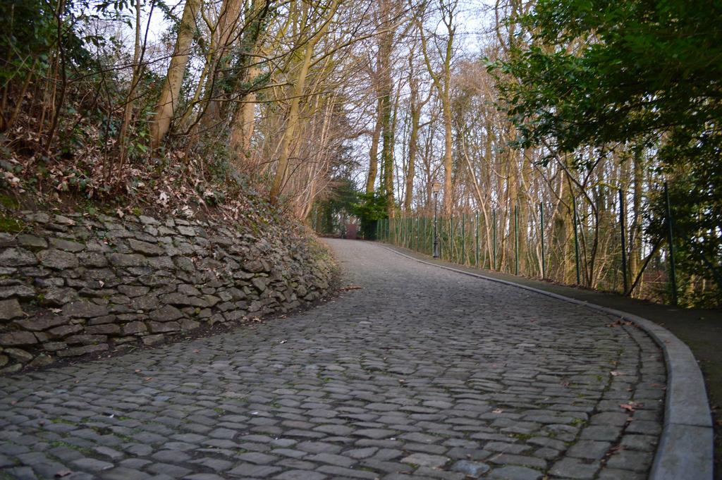 Fine Fleur Villa Viane ภายนอก รูปภาพ
